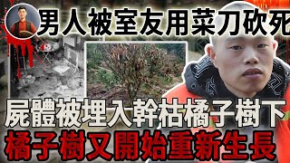 男人被室友用菜刀砍死，屍體被埋入幹枯橘子樹下，橘子樹又開始重新生長！