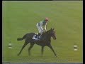 dancing brave 1986 prix de l arc de triomphe inc replay listen to the english fans welcome him back