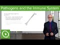 Pathogens and the Immune System: Introduction – Immunology | Lecturio