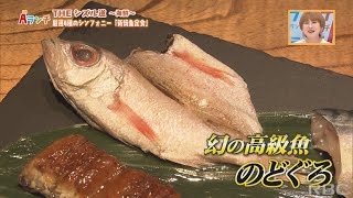 【Aランチ】THEシズル道～海鮮～PART3　わさび小だいらくんオススメ「焼き魚とお鮨専門店 焼乃 魚島」9/23 OA