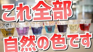 【ハーブ紹介】ハーブで楽しむ「色」の世界【バタフライピー/カレンデュラ/ローゼル…】