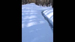 Insane and almost idiotic snowshoe run-3/9/13