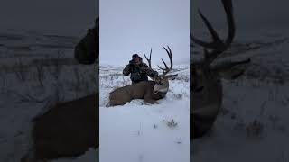 ¡2 ciervos grandes en 2 días! ¡Atrapados en Alberta! #caza #ciervo #naturaleza #nieve #alberta #v...