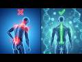 528Hz - Try listening for 5 minutes and your life will change forever 🌸Alpha waves heal the whole b