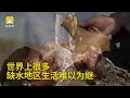 能凭空集水的箱子，破解缺水难题