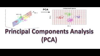 Principal Components Analysis Tutorial 1 -  Introduction to PCA