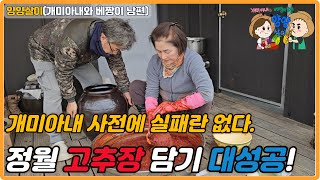 정월 고추장 담그기 대성공! 개미아내 사전에 실패란 없다.