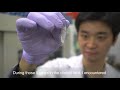 rnai products—osaka university japan