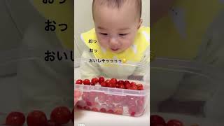 【生後7ヶ月】初めてさくらんぼを見たときの赤ちゃんの反応🍒　#さくらんぼ #赤ちゃん #tiktok