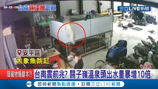 地震前兆？象魚跳出魚缸後2天連3震引熱議 關子嶺溫泉頭出水量爆增10倍...│記者 王紹宇 朱怡蓉│【LIVE大現場】20201018│三立新聞台