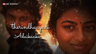 #love | எங்க புள்ள இரு‌க்க | miss u| Yenga pulla irukka| கயல்