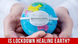 Is The Coronavirus Lockdown Healing Planet Earth?