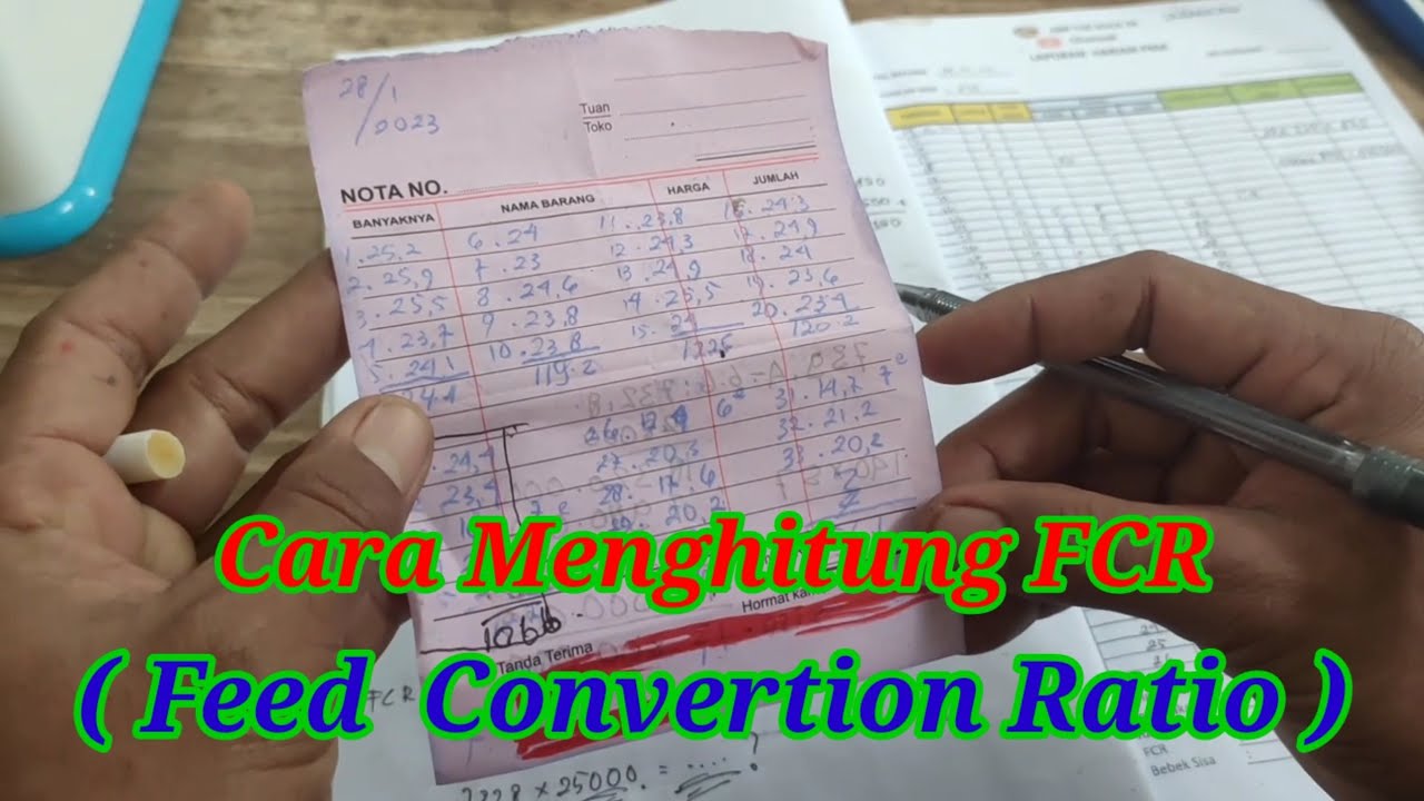 Cara Menghitung FCR ( Feed Convertion Ratio ) #alternative #limbah # ...