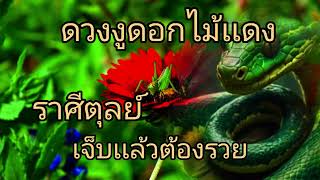 ดูดวงราศีตุลย์ ดวงงูดอกไม้เเดง เจ็บเเล้วต้อรวย