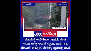 ಬೆಳ್ಳಂಬೆಳಿಗ್ಗೆ ಕಾಣಿಸಿಕೊಂಡ ಗಜಪಡೆ, ಪಟಾಕಿ ಸಿಡಿಸಿದ ಅರಣ್ಯ ಇಲಾಖೆ ಸಿಬ್ಬಂದಿ