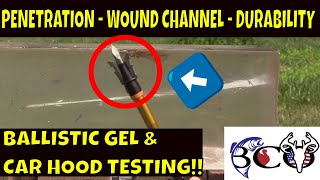 Wasp jak knife Broadhead ballistic gel test | bco review |