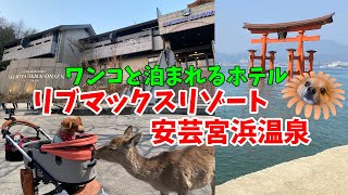 【夫婦ふたり旅 With Dog 広島県宮島へ】ワンコと泊まれるホテル『リブマックスリゾート安芸宮浜温泉』＃152