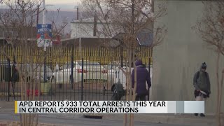 APD reports 933 total arrests in 2025 so far