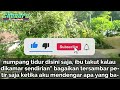 mama t r ku yang keinginanya sangat tinggi