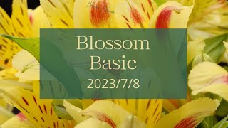 7月8日（土）発送のblossom Basic（花定期便）