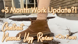 Chestnut Neumel Ugg Review + On Feet + Work Update!