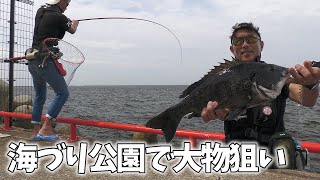 海釣り公園で大きな魚が釣れる方法 真夏のヘチ釣り 鳴尾浜臨海公園海づり広場