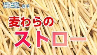 麦わらがストローに大変身！プラスチックごみを減らそう 日本財団 海と日本PROJECT in 岩手 2020 #25