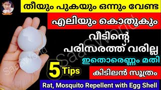 💯ഇതറിഞ്ഞാൽ പിന്നെ ഇങ്ങനെ മാത്രമേ ചെയ്യൂ, എലിയും കൊതുകും ഇനി പറമ്പിൽ പോലും വരില്ല|#Mosquitorepellent