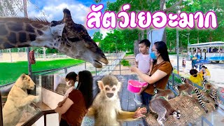 น้องนาย | สวนสัตว์สนามบินสุโขทัย Sukhothai Airport Zoo