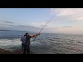 Kokan Coastal Fishing Borya Budal