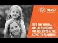 A Rare Holiday Season: Tips for Mental Wellness During the Holidays and the COVID-19 Pandemic