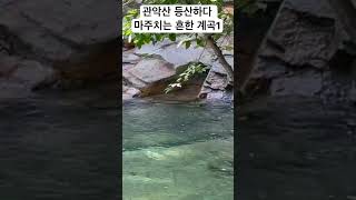 서울 도심에 있는 계곡 #서울계곡 #관악산계곡 #계곡물놀이