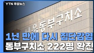 서울 동부구치소 222명 집단감염...요양시설 등 집단시설 감염 확산 / YTN