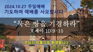 2024.10.27.  “묵은 땅을 기경하라”(호 10:9-15)