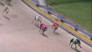 Ipswich-Saturday-23112024-Race-9