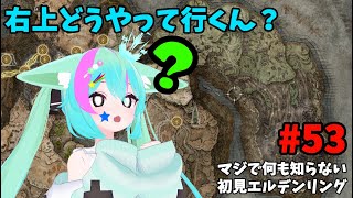 【ELDEN RING】#53 マジで何も知らないエルデンリング！カロのところのゴーレム倒して右上調査にいきたい～