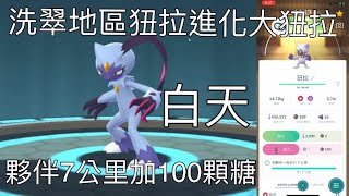 洗翠地區狃拉進化大狃拉要夥伴走7公里加100顆糖果（白天）Pokémon Go 2022/08/01