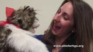 #AllinForHGO: The Story of Opera Cat