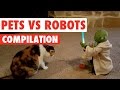 Download Pets Vs Robots Video Compilation 2016 In Mp4 3Gp Full HD Video