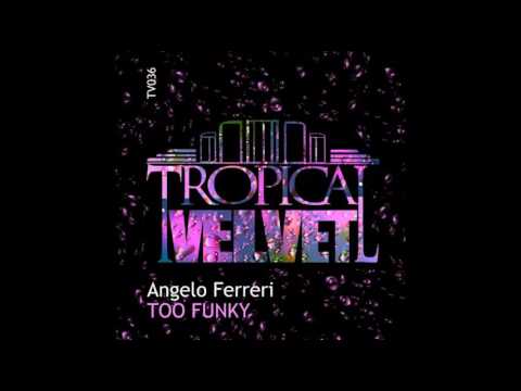 Angelo Ferreri - Too Funky (Original Mix) TVJM - YouTube