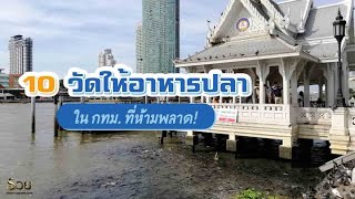 10 วัดให้อาหารปลา ใน กทม  ที่ห้ามพลาด l สาระรวย EP.18