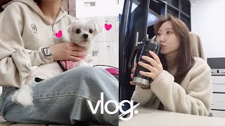 vlog. 나는솔로 환승연애 과몰입러, 택배 포장의 달인, 별빛 청하 혼술, 군것질 잔뜩 늘고있는 직장인 브이로그