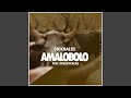 Amalobolo (feat. Acousticblaq) (Radio Edit)