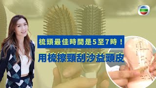 健康360 TVB｜防甩頭髮梳頭注意 梳頭最佳時間是5至7時！用梳擦頸刮沙益頭皮 蒸花尾龍躉食譜落紅棗更鮮｜姚嘉妮  黃美棋｜流行都市