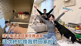 送千隻浪浪回家任務達成，換我們回家啦！｜Vlog