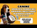 HOW TO CURE CANINE KIDNEY STONES/BLADDER STONES URINARY INFECTIONS | FortuneHunter Kennel