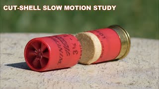 Shotgun CUT-SHELLS - Hit like frag-grenades! Slow Motion Study -
