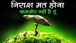 Never Give up - Ant Inspiring Story in hindi| Motivational video for students