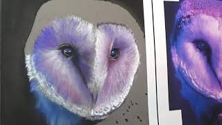Moonlit Barn Owl Timelapse