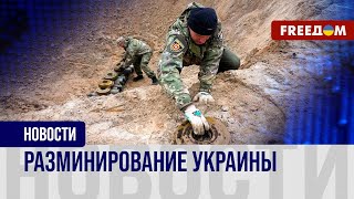 💥 ЛИКВИДАЦИЯ опасных боеприпасов: как проходит РАЗМИНИРОВАНИЕ в Харьковской области